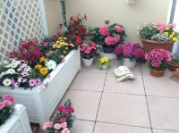 ein Bild aus dem Album