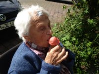 ein Bild aus dem Album