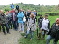 ein Bild aus dem Album